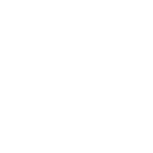 CS Perfect Mix Entertainment logo